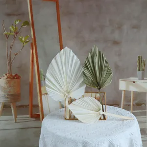 Natural Dried Palm Leaves Fan Living Room Home Wedding Decoration DIY Floral Arranging Botanical Crafts Dry Plant Branch
