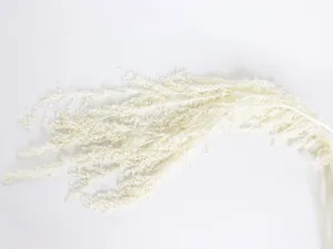 White floral wedding decor prop astilbe detail close up view, elegant hanging floral design.