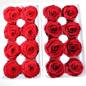 Red preserved rose heads for DIY glass dome craft, fresh flower eternal rose decor, 16 pcs