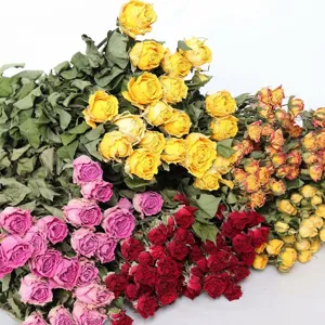 Colorful dried spray roses bouquet details, natural dried flowers for resin art and photography.