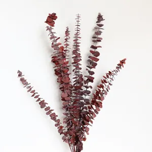 Preserved eucalyptus copper coin dried branches for DIY wedding and home decor detail view.