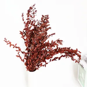 Preserved small-leaf eucalyptus bouquet detail, Nordic style dried foliage for home decor.