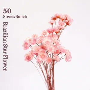 Detailed close-up of pink dried star flowers, perfect for home decor and photography props.