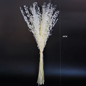 White preserved dried flowers eucalyptus branches DIY floral arrangement 60cm length