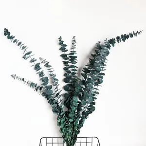Natural dried eucalyptus branches preserved leaves bunch for home decor wedding floral arrangement