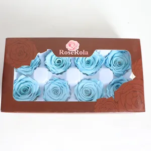 Detailed view of preserved light blue rose heads in a windowed gift box, premium floral decor.