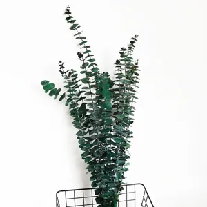 Close-up detail of preserved coin eucalyptus dried branches arranged in wire basket for decor.