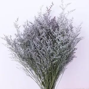 Bouquet di fiori secchi di statice per decorazioni domestiche e oggetti di scena fotografici, viola.