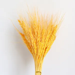 Natural dried wheat ears bouquet for home decoration and opening celebration decor.