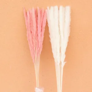 Natural dried flowers pampas grass bouquet for home decoration photography props detail view