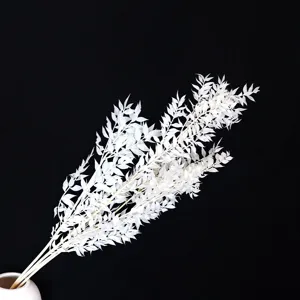 Fiori Secchi di Foglie Fortunate Sbiancate Preservate Naturali Bouquet fai da te per Matrimonio Decorazione Casa Oggetti di Scena