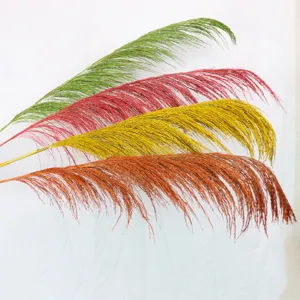 Colorful dried pampas grass Nordic style natural reed iron stem for home decor setup.