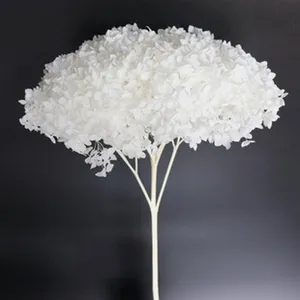 White dried hydrangea flower branch for home decoration and photography props design.