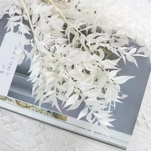 Foglie di ruscus sbiancate fiori secchi materiale DIY per oggetti di scena per matrimoni.