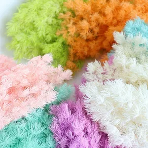 Colorful natural dried moss flowers close up detail for home decor photography props