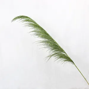Detailed close-up view of a green dried pampas grass stem, perfect for Nordic home decor.