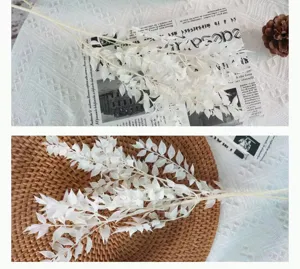 Foglie sbiancate e stabilizzate essiccate per composizioni floreali fai da te e decori.