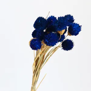 Mazzo di fiori secchi blu naturali per decorazioni d'interni e composizioni floreali.