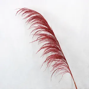 Detailed view of single red dried pampas grass iron stem reed for nordic home decor.