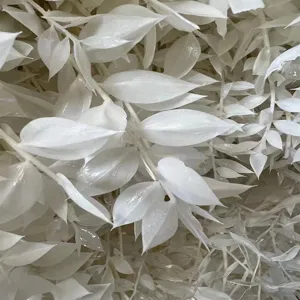 Foglie di Ruscus sbiancate fiori secchi conservati materiale DIY decorazione matrimonio.