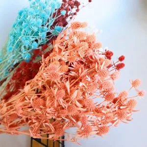 Dried preserved eryngium flower bouquets colorful floral arrangements for home decor gifts
