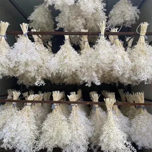 Foglie di fortuna sbiancate fiori secchi matrimonio floreale fotografia oggetti