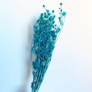 Blue dried sea holly thistle flower detail, natural dried plant bouquet for home decoration.