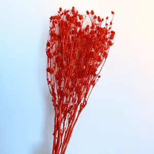 Red preserved dried eryngium flower bouquet for home decoration and beautiful gifts.