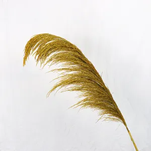 Close-up detail of natural dried pampas grass single stem reed for Nordic home decor aesthetic.