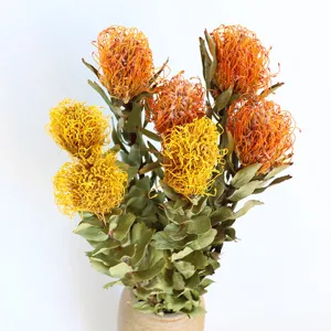 Natural Dried Flower Branch Nordic Style Home Decor Yellow Orange Single Stem Floral Arrangement Botanical Ornament