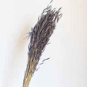 Detailed shot of natural dried blue oat flower bouquet, ideal for home decor and props.
