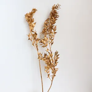 Ramo di foglie dorate conservate, decoro floreale secco naturale per la casa e matrimonio.