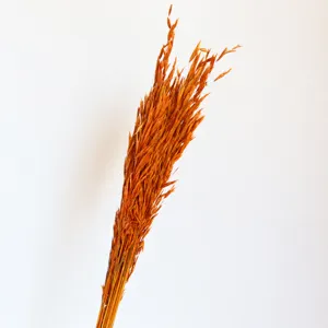 Close-up detail of natural dried oat flowers bunch showing texture and rich orange color.