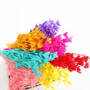 Natural Dried Flower Bouquet Handcrafted Botanical Floral Arrangement For Home Decor Photography Props Aesthetic Room Decor