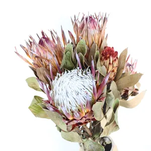 Dried protea flower bouquet, natural king protea decor for home, photo prop, wedding floral.