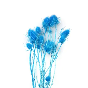 Vista dettagliata di ramo di fiori secchi blu preservati per decorazione e cupola di vetro.