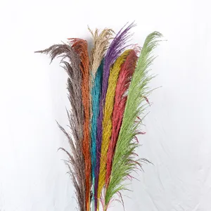Colorful dried pampas grass bouquet natural reed Nordic home decor floral arrangement