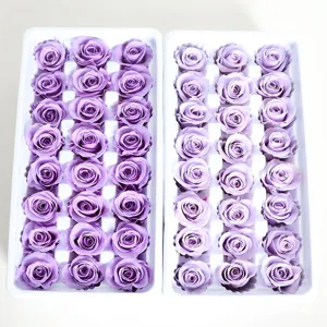 Geconserveerde rozen in lichtpaars, 2-3cm A-klasse eeuwige rozen voor DIY geschenkdozen.
