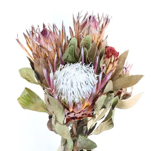 Natural dried protea flower bouquet for home decoration, wedding arrangement and props.