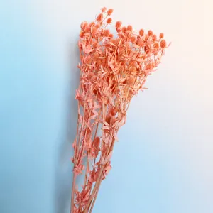 Pink dried sea holly flowers bouquet, preserved floral stems for home decor and gifts.