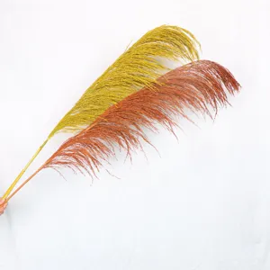 Natural dried pampas grass and colorful reed plumes for Nordic home decor and floral displays.