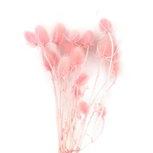 Bouquet di fiori essiccati rosa steli botanici naturali per decorazione d'interni e artigianato