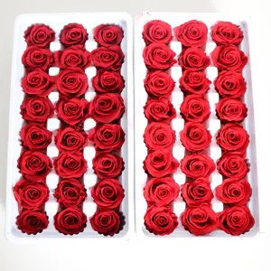 Gedetailleerd overzicht van geconserveerde rode rozen in trays voor bloemschikken.