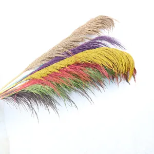 Colorful dried pampas grass fluffy natural reed plumes for home decor floral arrangements.
