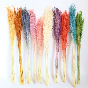 Natural Dried Oat Flowers Bouquet Preserved Real Plant Wheat Ears For Home Decor Photography Props Floral Arrangement