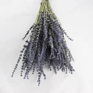 Natural Dried Lavender Flowers Bouquet Purple Lavender Bunch For Home Decor Photography Props Wedding Party Decoration