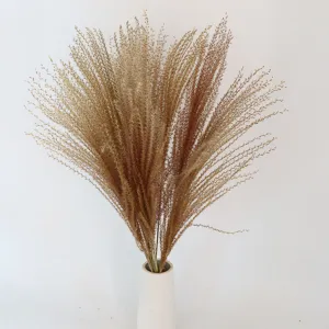 Natural dried pampas grass bouquet with white ceramic vase for home and wedding decor.