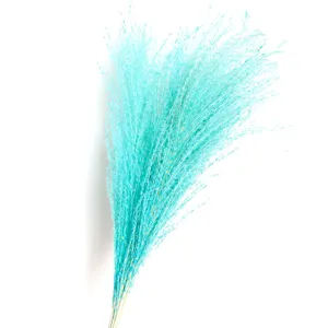 Blue dried pampas grass fluffy reed flower detail shot for home decor wedding floral arrangement