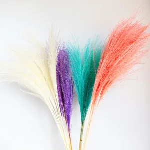 Colorful dried pampas grass fluffy natural reed flowers for home wedding decor floral arrangement