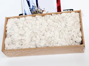 Close-up detail of white preserved moss floral material in box, ideal for DIY home decor crafts.